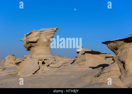 Belle Fossil Rock formation in Abu Dhabi désert. Banque D'Images