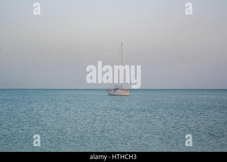 MALAGA, ESPAGNE - 16 février 2014 : un seul bateau de pêche en mer avec un Meditarrain beaucoup de mouettes à l'arrière-plan dans la soirée près de Malaga, un Banque D'Images