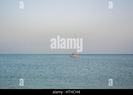 MALAGA, ESPAGNE - 16 février 2014 : un seul bateau de pêche en mer avec un Meditarrain beaucoup de mouettes à l'arrière-plan dans la soirée près de Malaga, un Banque D'Images