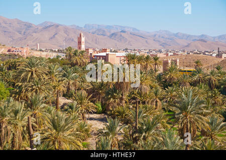 Palmeraie, palm grover, autour de Tata, l'Anti Atlas, Maroc Banque D'Images