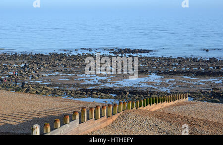 La plage d'Eastbourne et brise-vagues Banque D'Images