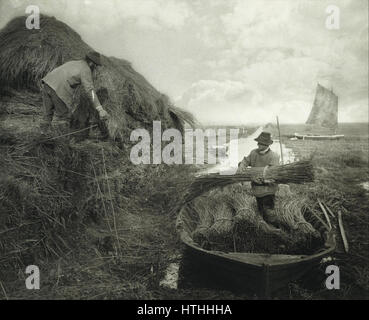 Peter Henry Emerson - Ricking le roseau - Google Art Project Banque D'Images