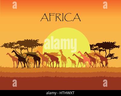 Vector Background avec silhouettes de girafes dans la savane avec les arbres, l'herbe et le soleil Illustration de Vecteur