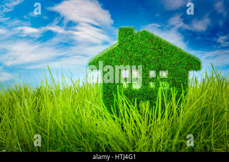 Peu d'Eco House sur l'herbe verte Banque D'Images