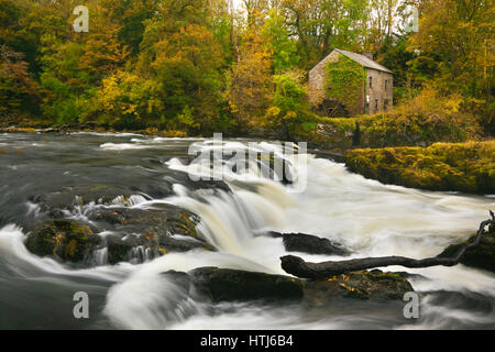 Cenarth Falls, Cenarth, Ceredigion, West Wales, uk Banque D'Images