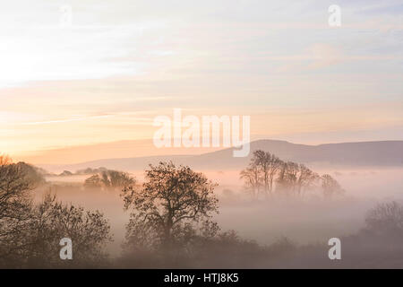 Matin brumeux donnant sur la montagne qui l'a amenée, Pembrokeshire, Pays de Galles de l'Ouest. Banque D'Images