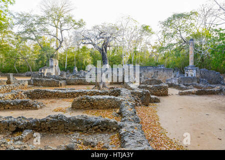 Ruines de Gedi. Wartamu, au Kenya. Banque D'Images