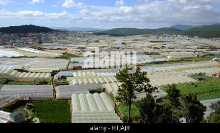 Dalat, village fleuri, une grande surface pour la fleur au Vietnam, Groupe de haute technologie avec l'agriculture, Da Lat est big bloom grenier pour par pays Banque D'Images