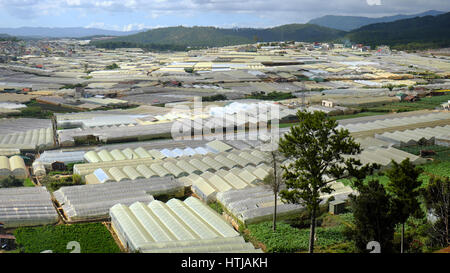 Dalat, village fleuri, une grande surface pour la fleur au Vietnam, Groupe de haute technologie avec l'agriculture, Da Lat est big bloom grenier pour par pays Banque D'Images