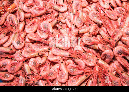 Crevettes pour la vente au marché local Banque D'Images