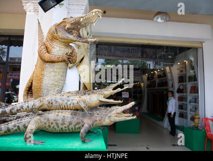 Les bébés crocodiles à l'extérieur d'un magasin de cuir. Siem Reap, Cambodge, Asie Banque D'Images