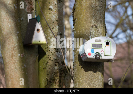 Une caravane bird box/ nichoir suspendu à un arbre dans la forêt dans un jardin Banque D'Images
