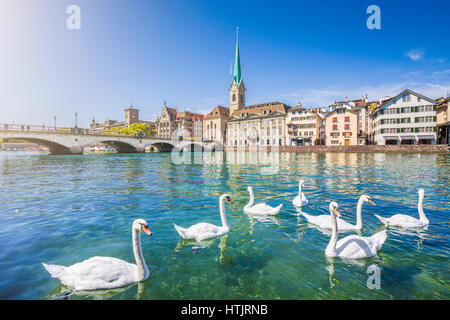 Belle vue sur le centre historique de la ville de Zurich avec célèbre église Fraumunster et cygnes sur rivière Limmat sur une journée ensoleillée avec ciel bleu en été Banque D'Images