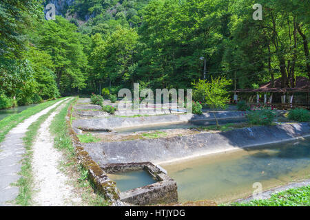 Piscines en béton sur une ferme de truites en Abkhazie Banque D'Images