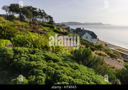 Lyme Regis, dans le Dorset, UK. 13 mars 2017. Météo britannique. Beau printemps chaud soleil et ciel blues durant la matinée à la station balnéaire de Lyme Regis Dorset sur la côte jurassique. La vue est à l'Est le long de la côte à partir de la Langmoor Jardins. Photo de Graham Hunt/Alamy Live News Banque D'Images