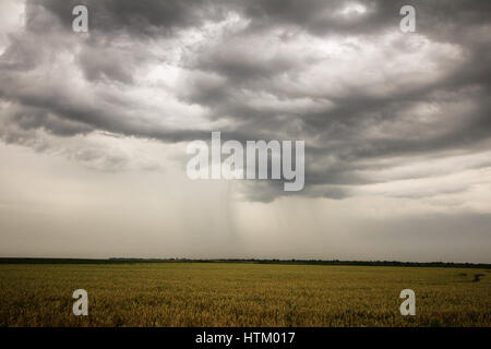 Photo d'un ciel d'orage en été Banque D'Images