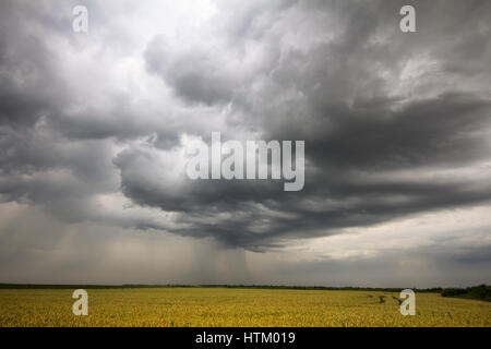 Photo d'un ciel d'orage en été Banque D'Images
