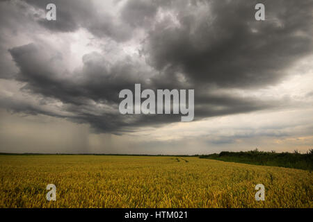 Photo d'un ciel d'orage en été Banque D'Images