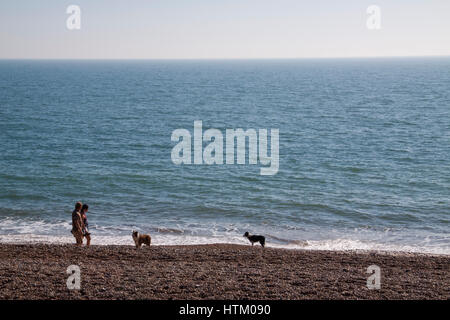 Un couple marche leurs deux chiens sur une plage au coucher du soleil Banque D'Images