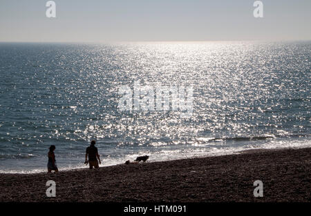 Un couple marche leurs deux chiens sur une plage au coucher du soleil Banque D'Images