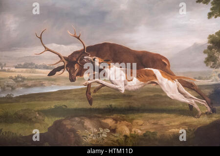 Hound coulant un cerf, huile sur toile, George Stubbs, 1762, Philadelphia Museum of Art, Philadelphie, Pennsylvanie, USA Banque D'Images