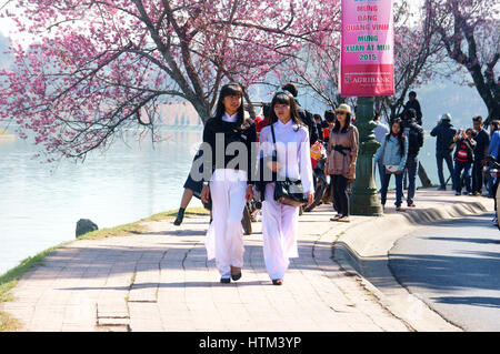 Scène romantique ville de Dalat au printemps, jolie fille en ao dai blanc marche sur street, fleur fleurs en rose, Da Lat est célèbre place, Voyage Vietnam Banque D'Images