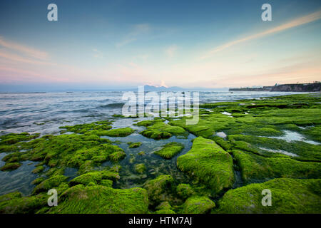 Côte rocheuse couverte d'algues vertes, face à la mer tôt le matin avec une vue sur le volcan et les montagnes. Indonésie Bali Banque D'Images