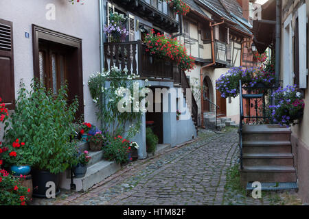 Ruelles médiévales street à Eguisheim, Alsace, France. Banque D'Images