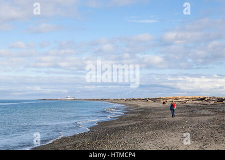 Une personne qui marche le long d'une plage vers un phare, Dungeness Spit State Park, Washington. Banque D'Images