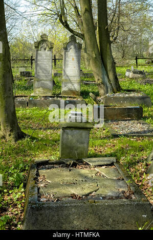 Le cimetière de mennonites wickerau en Pologne Banque D'Images