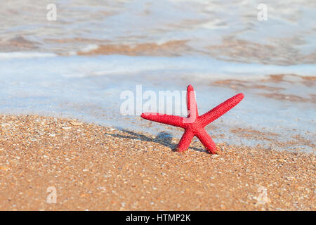 L'étoile rouge sur la plage Banque D'Images