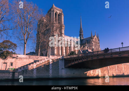 Vue pittoresque sur l'Ile de la Cité, Seine et de la cathédrale de Notre Dame de Paris dans la matinée d'hiver, France Banque D'Images