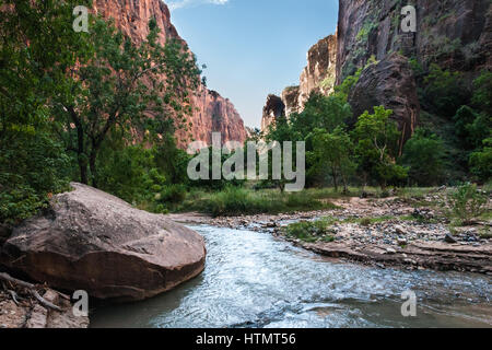 Virgin River, Zion Canyon, Zion National Park. Prises à la recherche de nouveau dans Zion Canyon tôt le matin, à partir de la proximité de la zone connue sous le nom de 'Narrows' Banque D'Images