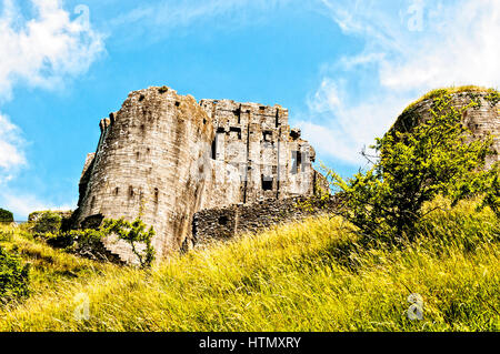 La garder les ruines romantiques de l'année 1000 de l'ancien château de Corfe permanent au-dessus de tombé les tours et murs, au milieu d'une profusion de fleurs sauvages Banque D'Images