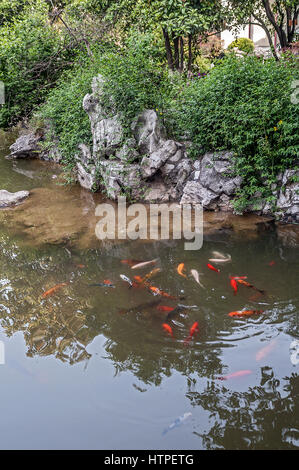 Le jardin de l'Humble Administrateur à Suzhou - un poème de fleurs, des pierres et de l'eau. Banque D'Images