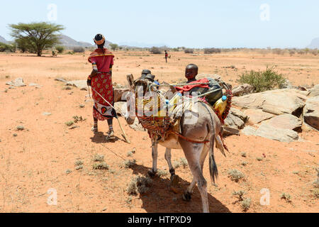 KENYA Samburu, Marsabit, tribu pastorale femme avec enfants sur donkey errer avec leurs troupeaux à la recherche d'eau et de pâturages / KENYA, Samburu, Marsabit Familie mit auf Wanderschaft Eseln und Ziegenherde, Suche nach Wasser und Weideland fuer ihre Tiere Banque D'Images