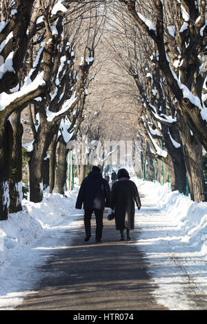 Bucarest, Roumanie - 15 janvier 2017 : vue arrière d'un vieux couple portant des vêtements noirs et de marcher sur l'allée couverte de neige le parc Cismigiu. Banque D'Images