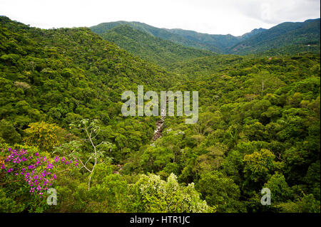 Vue de la forêt extense vu de 'Último Adeus" point de vue, le Parc National d'Itatiaia, Brésil Banque D'Images