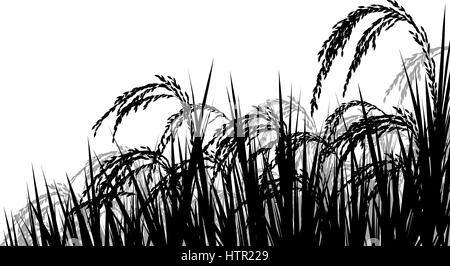 Silhouette vecteur illustration de plant de riz mûr seedheads prêt pour la récolte Illustration de Vecteur