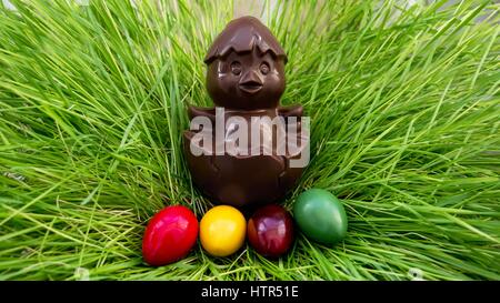 Poulet au chocolat assis sur un nid d'herbe avec des oeufs colorés Banque D'Images