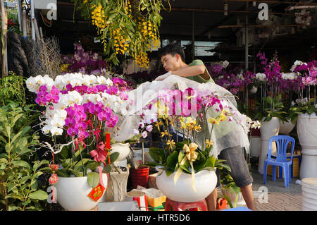 Ho Chi Minh ville, Viet Nam au printemps sur Saigon Street, marché de plein air qui montrent pour le Vietnam de fleurs colorées, la culture traditionnelle vietnamienne du têt Banque D'Images