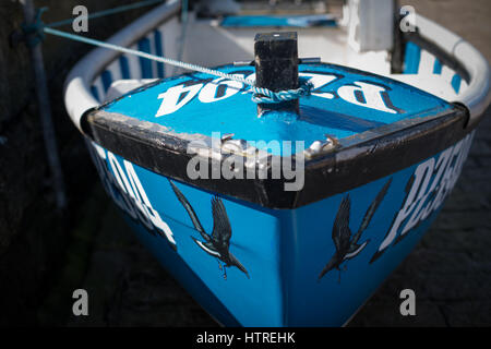Un bateau de pêche bleu peint à la main avec une photo d'un oiseau noir sur sa proue sur le quai à Saint Ives Harbour à Cornwall, Angleterre, Royaume-Uni. Banque D'Images