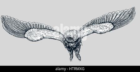 Vector hand drawn doodle owl. Style Tribal. Facile à changer Illustration de Vecteur