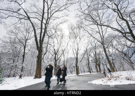 Les visiteurs de Central Park à New York, le vendredi 10 mars 2017 à l 'hiver' comme neige mouillée s'accroche aux branches des arbres. Un comité consultatif de l'hiver est en vigueur avec New York City prévoit d'obtenir entre 3 et 5 pouces de neige. Le comité consultatif est en vigueur jusqu'à 2h00. (© Richard B. Levine) Banque D'Images