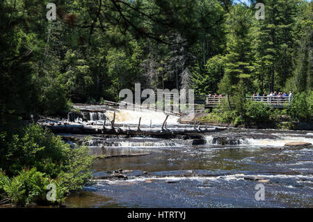 Cascade et se précipiter sur l'arbre tombé Lower Falls à Tahquamenon Falls dans le nord de la péninsule du Michigan Banque D'Images