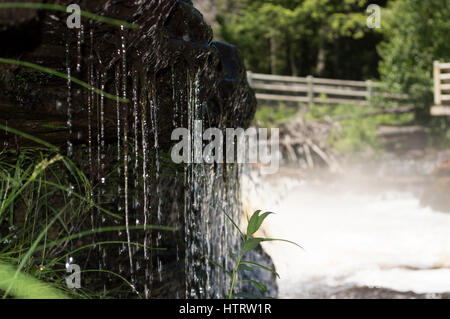 Tahquamenon Falls, au Michigan Banque D'Images