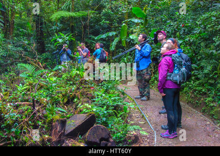 Guide Local et les touristes explorant le couvert végétal dans la réserve de la Forêt Nuageuse de Monteverde Banque D'Images