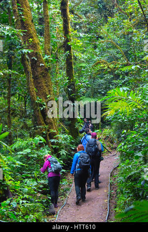 Guide Local et les touristes explorant le couvert végétal dans la réserve de la Forêt Nuageuse de Monteverde Banque D'Images