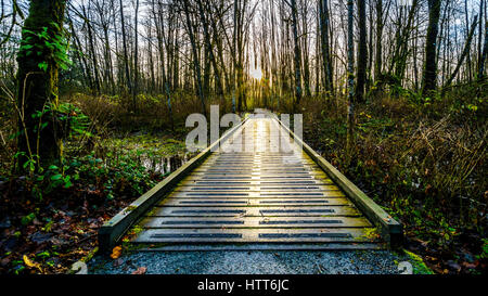 Paysage d'hiver montrant un pont en bois au milieu des arbres couverts de mousse sur un sentier de randonnée sur l'île de Brea en Colombie-Britannique, Canada Banque D'Images