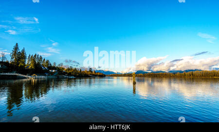 La réflexion sereine et créative dans la voie d'eau du canal à Bedford Brea Island à Fort Langley, Colombie-Britannique, Canada Banque D'Images